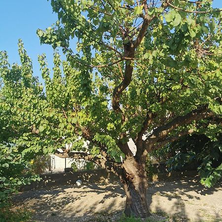 Villa Dans Le Sud لونيه المظهر الخارجي الصورة